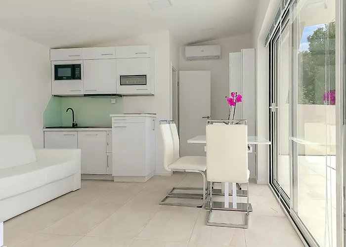 With Swimming Pool Matulji